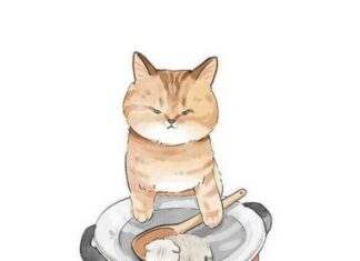 귀엽고 깜찍한 고양이 일러스트 총정리