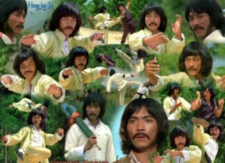 성룡의 무술스승이자 홍콩 무술 영화의 황금기를 물들인 최초의 한류 스타 황정리: 홍콩 무협 영화의 전설적인 무술 배우