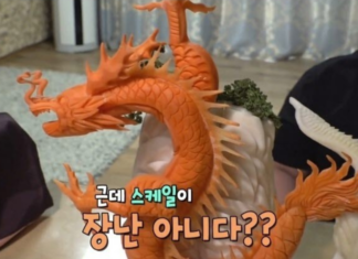 최연소 푸드카빙 실력자, 11살 박수빈의 카빙 작품과 꿈