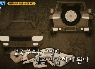 삼척 신혼 부부 엽총 살인 사건: 추월로 시작된 충격적인 범행과 검거 과정