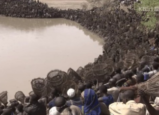 일년에 단 한번만 물고기 잡는 사막의 도곤족