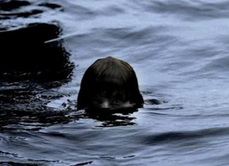 장마와 물귀신: 물 위에 서 있는 시체는 건들이지 않는다