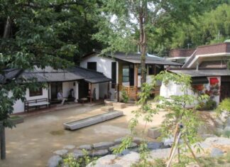 등골 오싹했던 민박집: 밤에 들려온 민박집의 무서운 소리와 저주받은 고양이 이야기