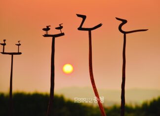 국제 가족 유튜버의 한글 써주기 프로젝트: 미국 학교 축제에서 미국과 한국을 잇는 감동 이야기