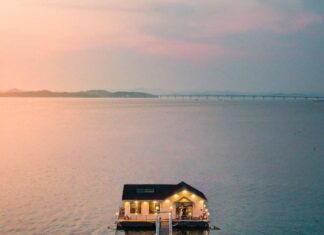 국내 이국적인 분위기의 여행지 추천: 옥천 수생식물학습원부터 서산 용현저수지까지