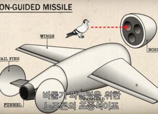 비둘기 프로젝트: 나치 독일의 유도 무기와 비둘기 폭탄병의 비밀