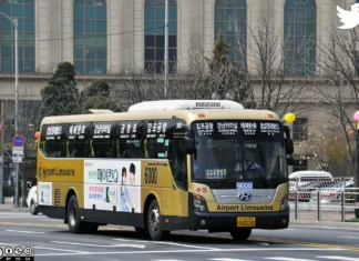 여행일정 꼬였지만 급똥으로 한 방에 숙연해진 공항버스 썰